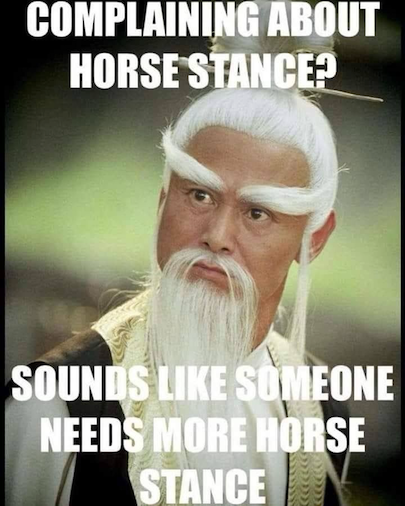 horse stance meme